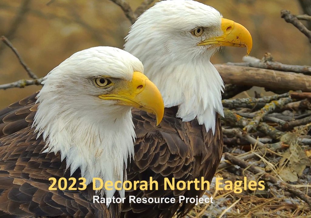The cover for the 2023 Decorah North calendar. Look for it soon!