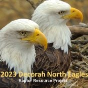 The cover for the 2023 Decorah North calendar. Look for it soon!