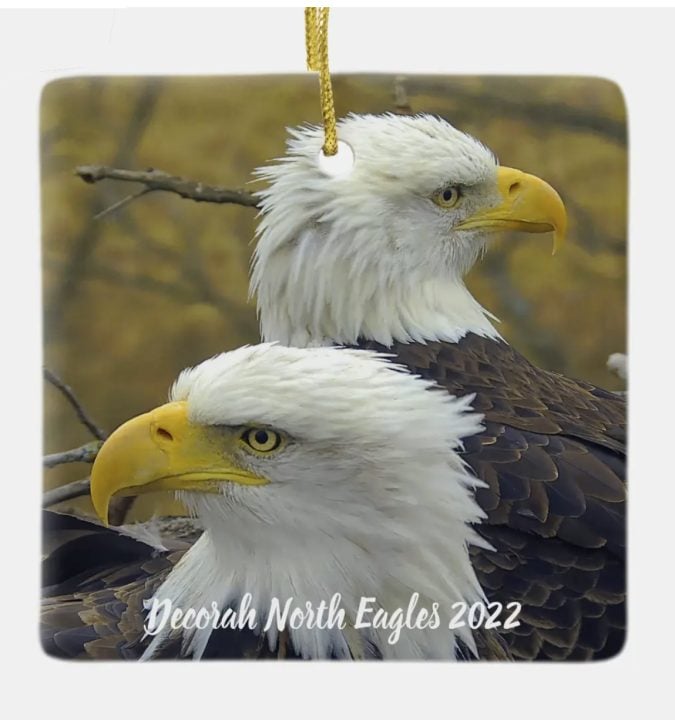 Our 2022 Decorah North Eagles Christmas ornament! We still have previous years available as well. I'll put up an archives collection for anyone who wants an ornament from days gone by!
