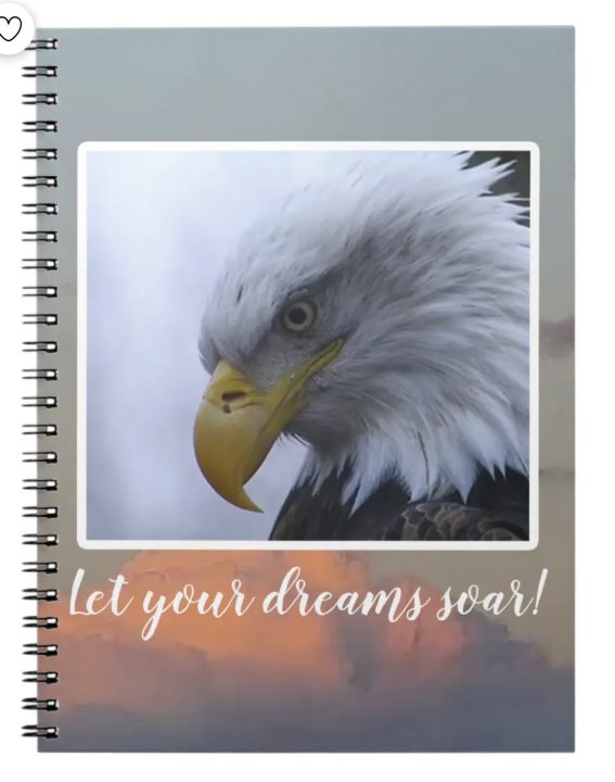 Let your dreams soar with this lovely journal featuring Mom Decorah on the cover! Perfect as a stocking stuffer or stand alone gift for anyone who enjoys journaling or likes to keep a notebook handy!