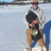 January 26, 2023: Dave Kester and a subadult Golden Eagle. Jeff Worrell caught our first GOEA of this season.