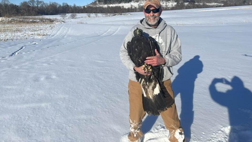 January 26, 2023: Dave Kester and a subadult Golden Eagle. Jeff Worrell caught our first GOEA of this season.