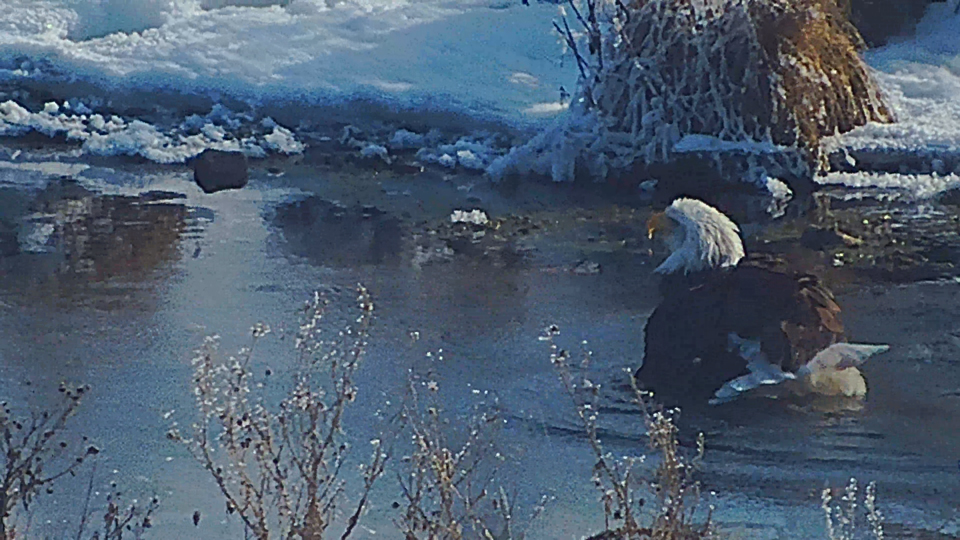 January 9, 2023: DNF takes a bath on a beautiful but frigid day