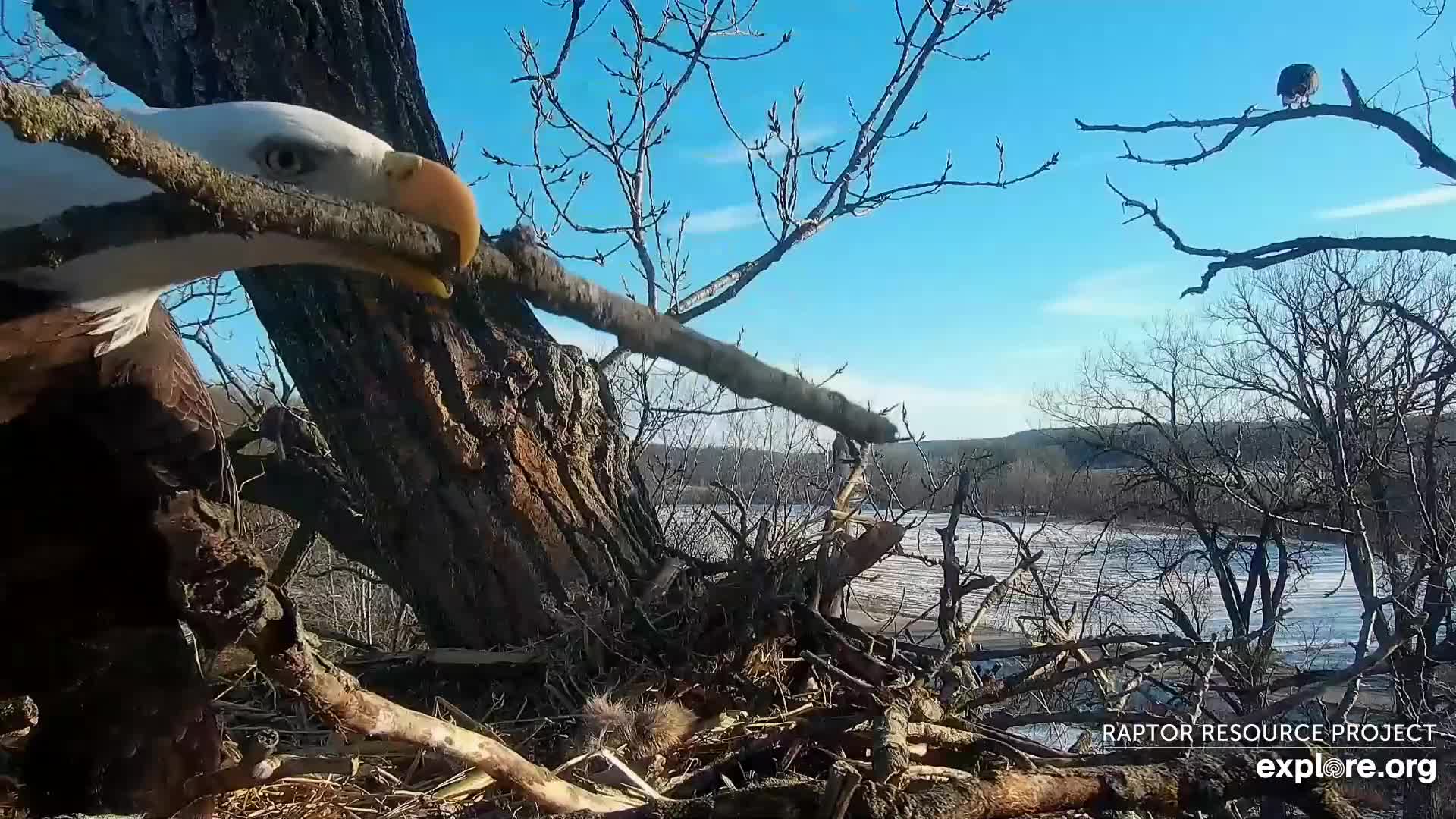 February 12, 2023: Is HD building a log cabin in Decorah?