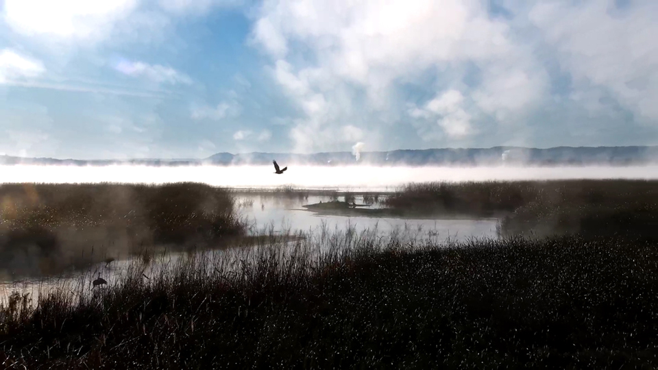A misty morning eagle in a place people love deeply. Places can be our Valentines too!