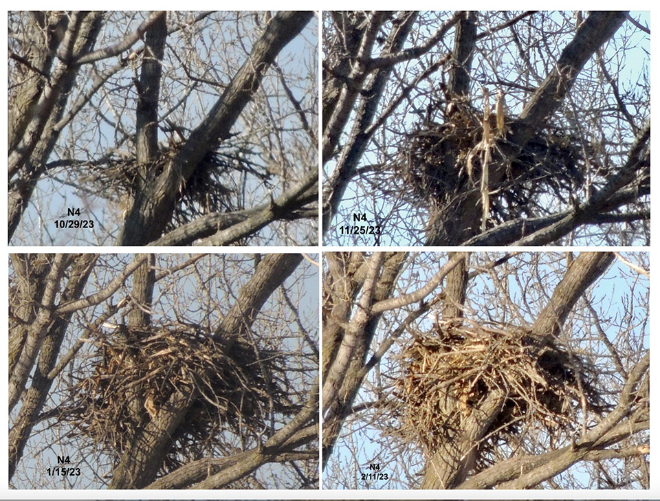 A comparison graphic of N4 from October to February. Dates the photos were taken are on each photo. (The first photo has an error on the date, it should be 10/29/22)