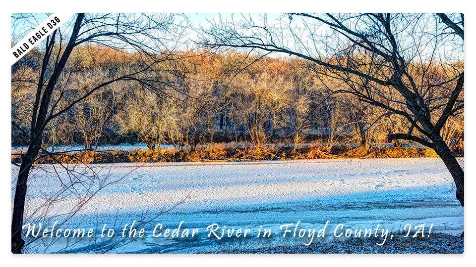 D36's postcard from the Cedar River in Floyd County, Iowa!