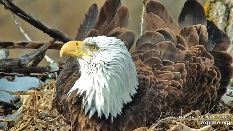 March 23, 2023: HM on a windy day in Decorah