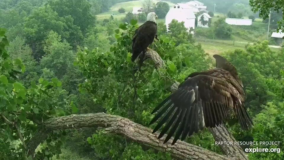 June 29, 2023: I believe I can fly!