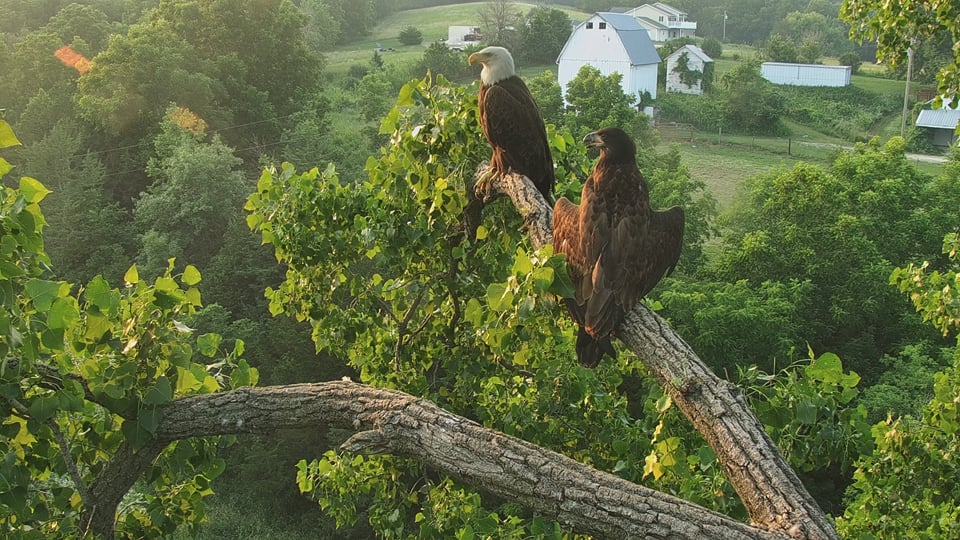 June 27, 2023: HM and DH2 enjoy a quiet evening on the Y