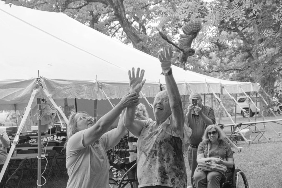 This was so cool! SOAR did a screech owl release behind our tent. The little screech owls flew up into the woods behind the hatchery and that was the last we saw of them. Photo by Seth Vreeman.