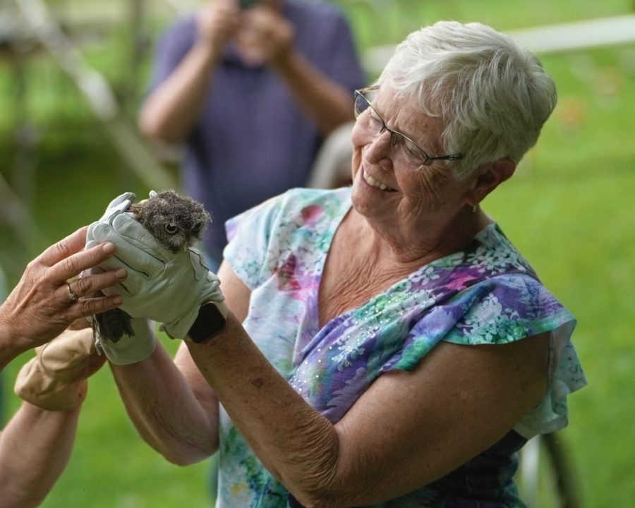 Another look at the owls...and the people of ATF!