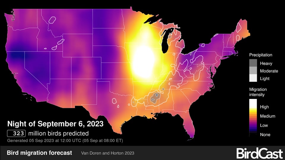 Birdcast migration prediction for September 6, 2023