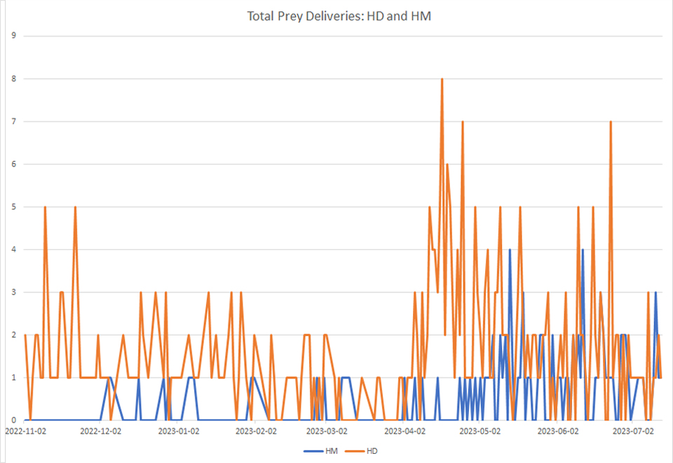 2023: Prey Deliveries to the Decorah Nest by Date 