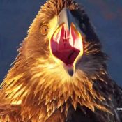 It's a regular eaglepalooza on the Flyway! A juvenile eagle is responds to several more eagles on the snag.