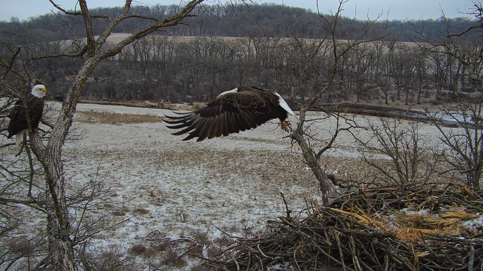 DNF joining Mr. North on the left side perch.