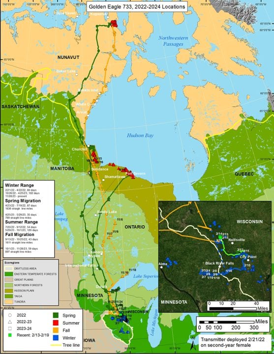 733's map. 733 is a subadult female eagle.