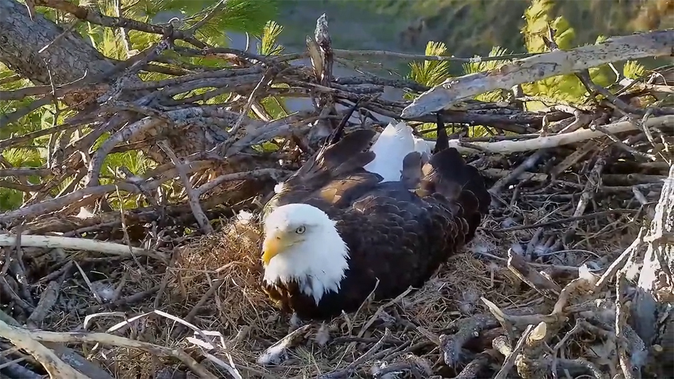 March 17, 2024: Mrs. T just before things got very windy! 