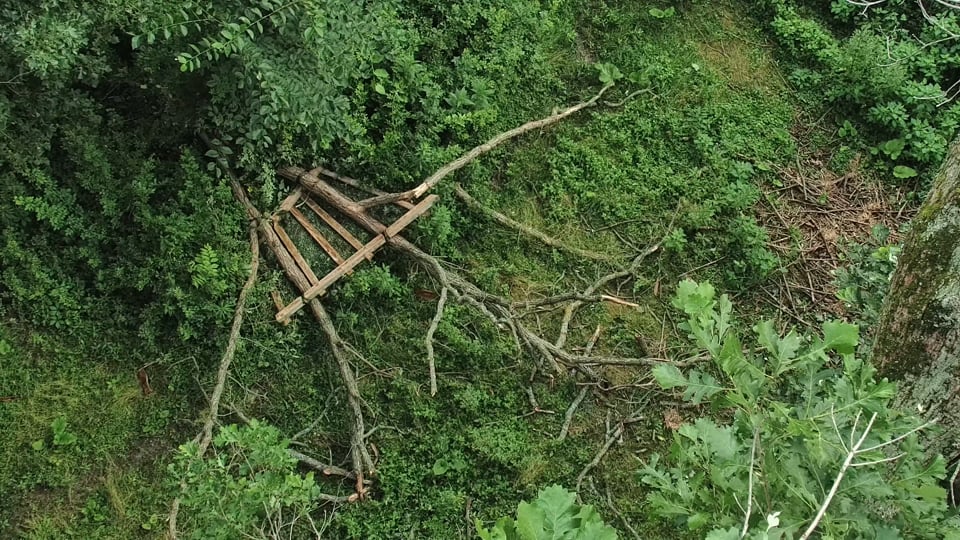 June 26, 2024: The limb and nest on the ground beneath the tree.