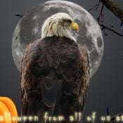 Happy Halloween 2024
