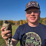 RRP Intern Peter with a sharp-shinned hawk