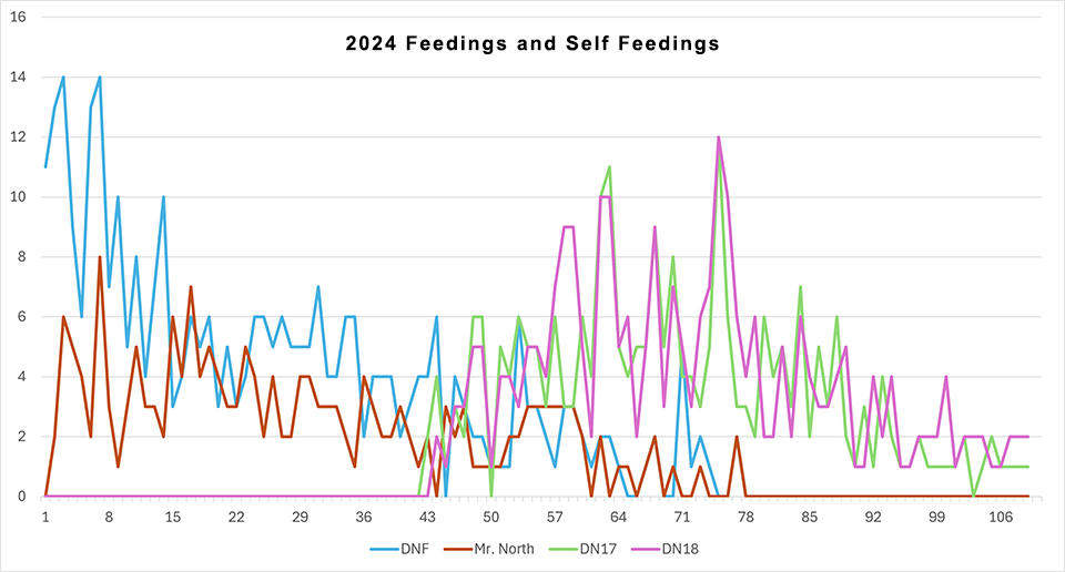 2024 feedings and self feedings