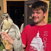 Intern Owen and a Red-tailed Hawk
