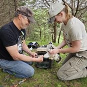 John and Janet banding at Guider's Bluff in Lansing, Iowa