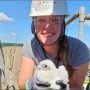 Xcel Energy’s Prairie Island plant is always a blast! ‘That can’t still be Freya!’, I said to Rich after he checked the nestbox. But it was! She turned sixteen this year and is beginning to slow down a little bit, although she still gets pretty close up and personal in defense of her nest box and young.
