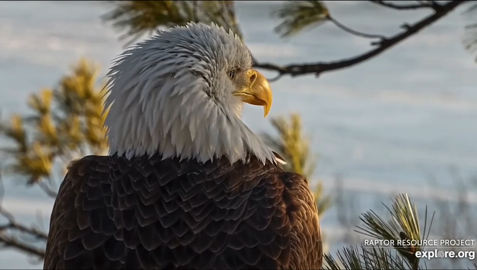January 8, 2025: I loved this close-up of Mrs. T!