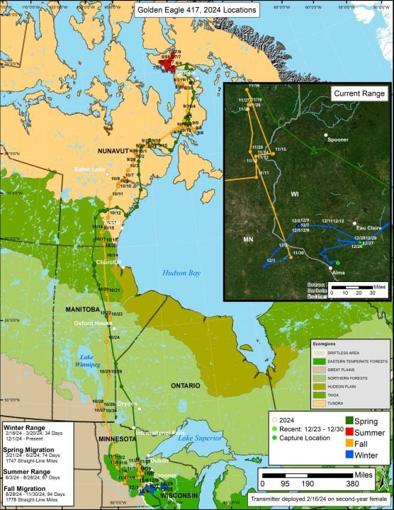Golden Eagle 417's 2024 Map. Click to enlarge!