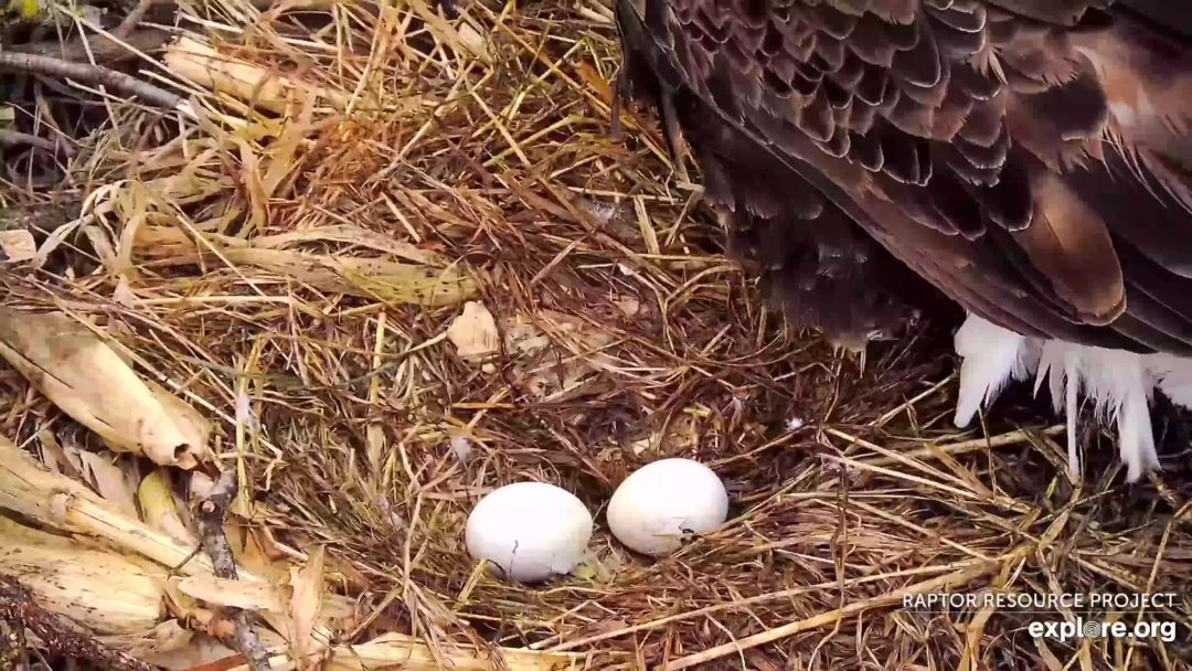 4:25 PM on Sunday, March 23. It's hard to overstate the dedication of our camera operators. These glimpses are few and far between, but somehow, they get every one.