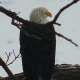 RaptorResource